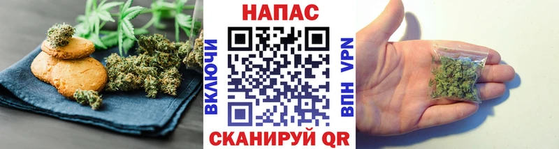 Canna-Cookies марихуана  Городовиковск 