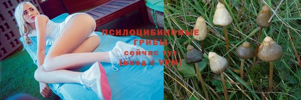 скорость mdpv Бородино